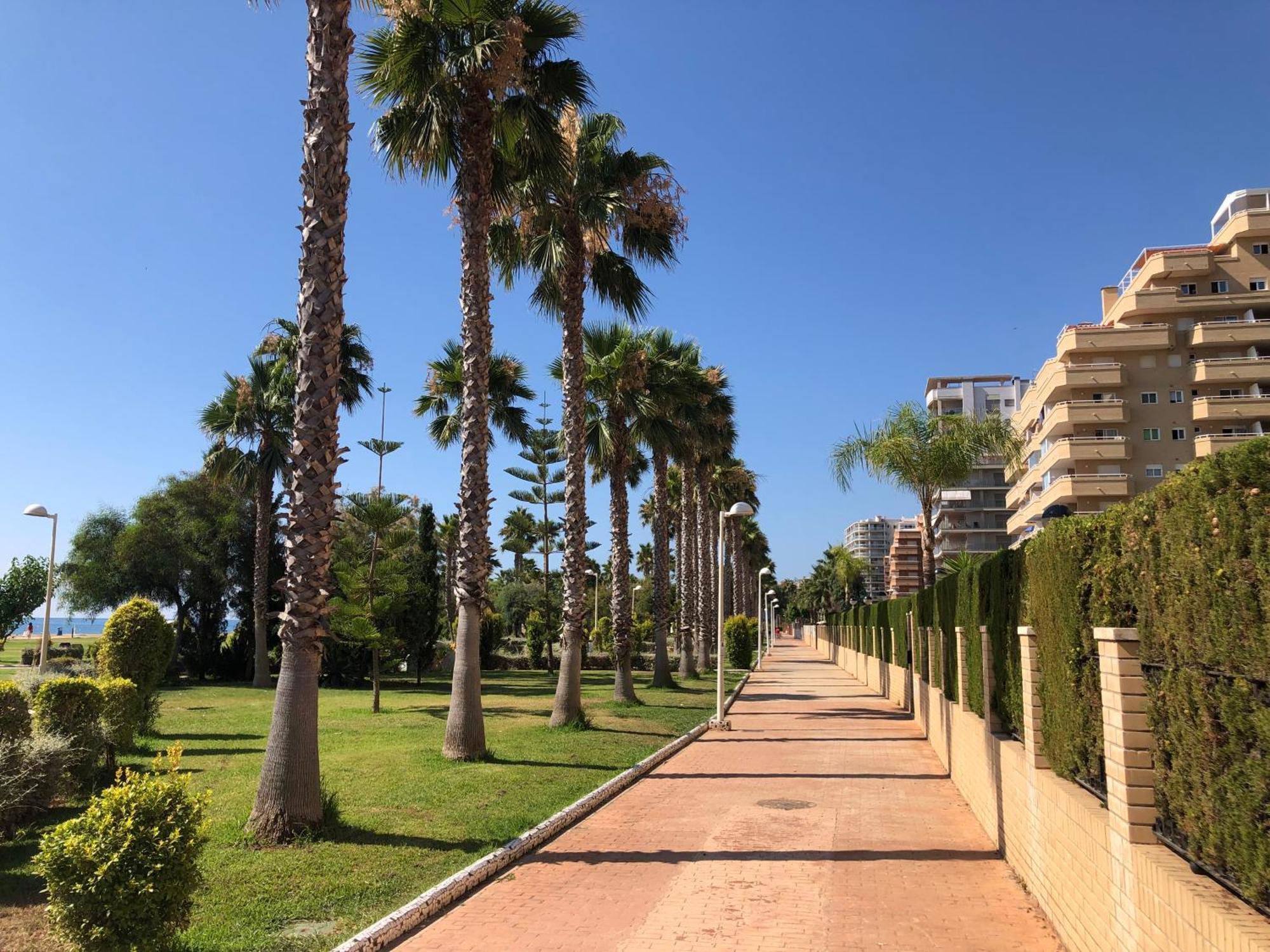 Appartement Edessa - Primera Linea à Oropesa del Mar Extérieur photo